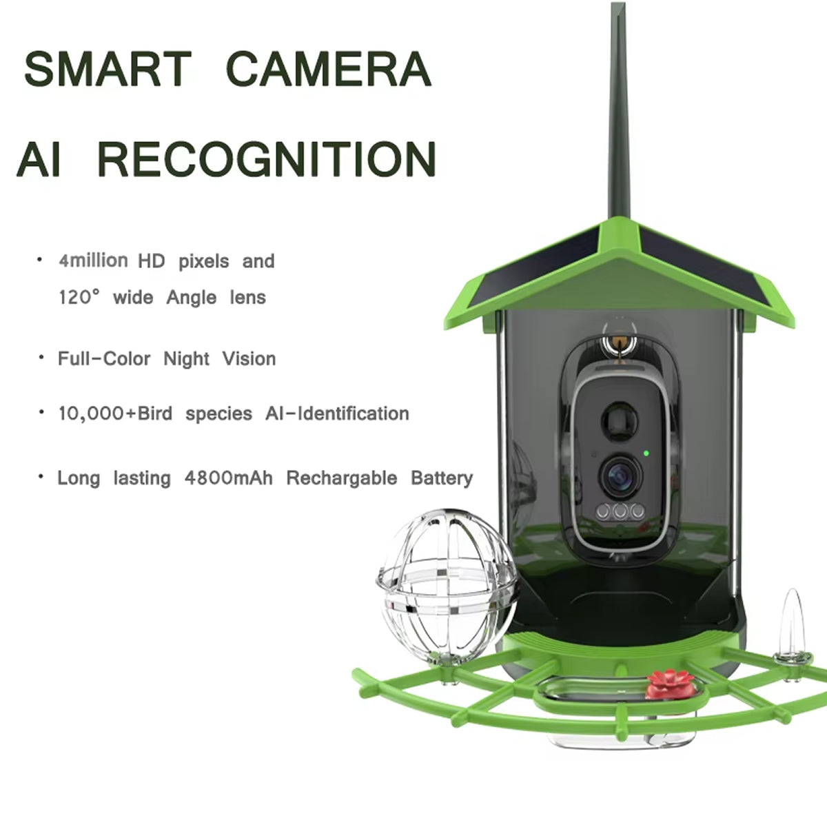 BirdObsi