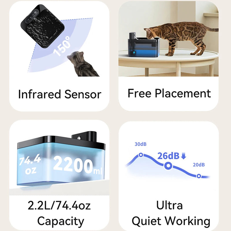 FotivCat