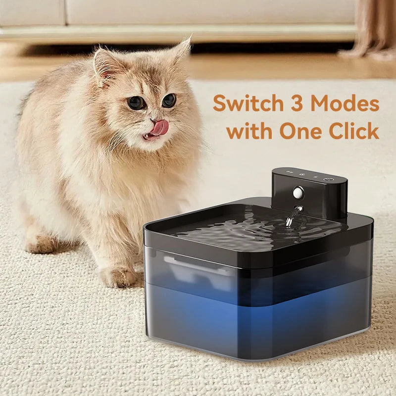 FotivCat