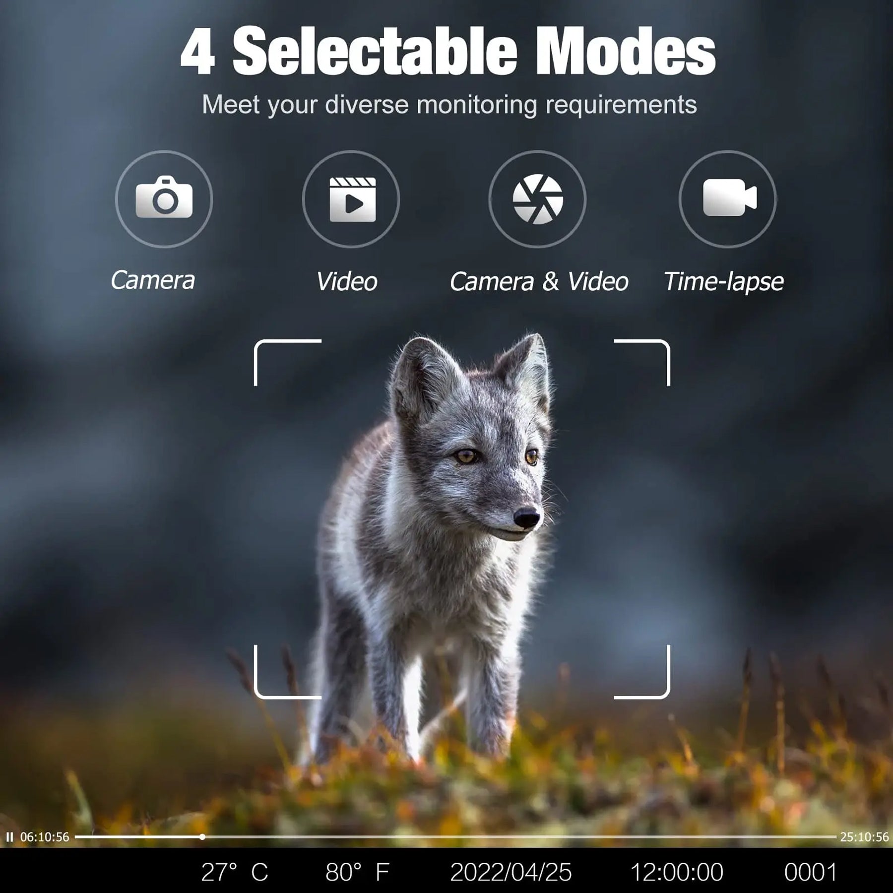 WildScout