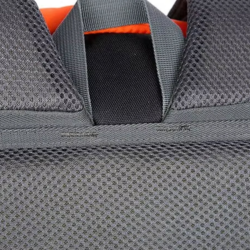 PionNomad