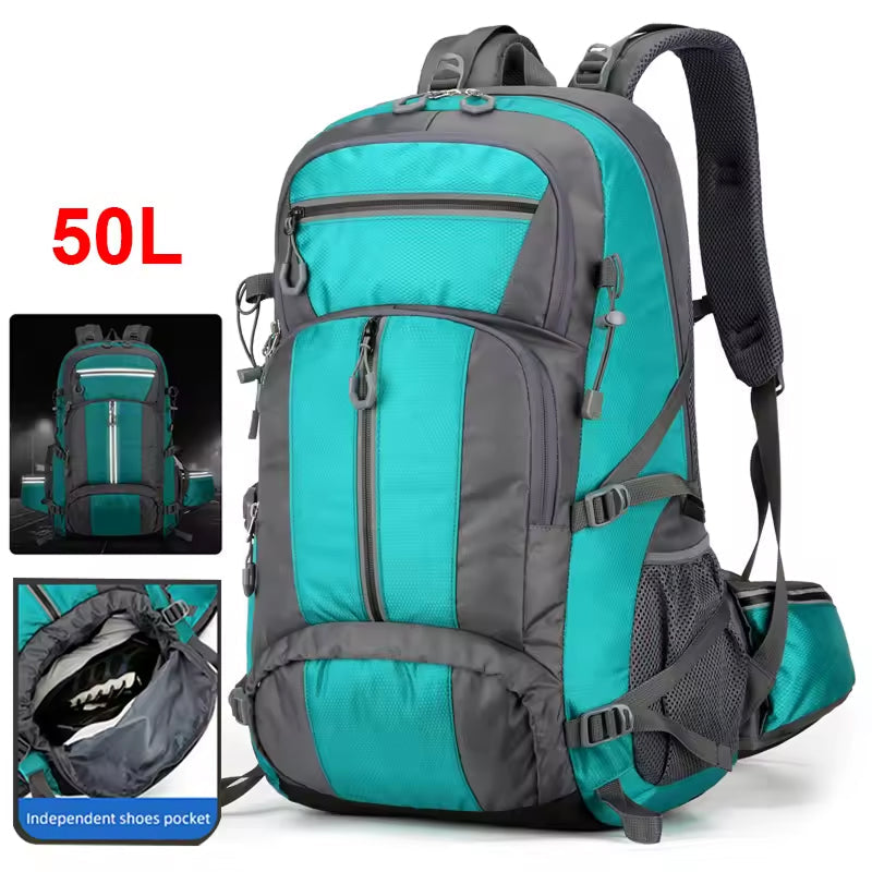 PionNomad