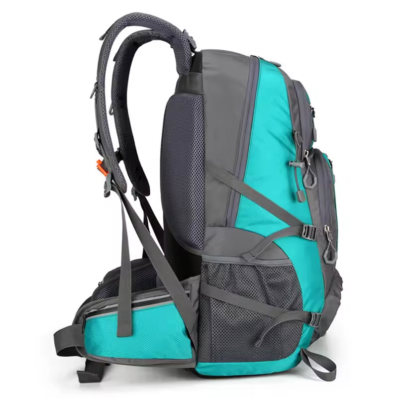 PionNomad