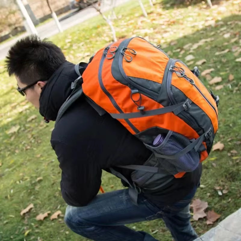 PionNomad