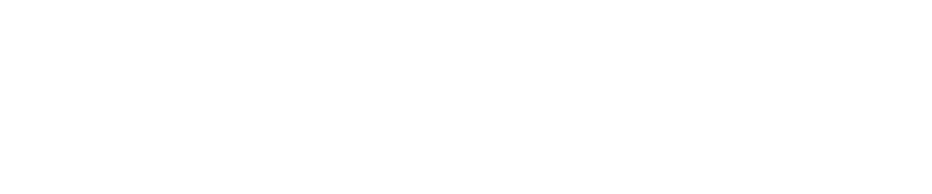 VetixMi
