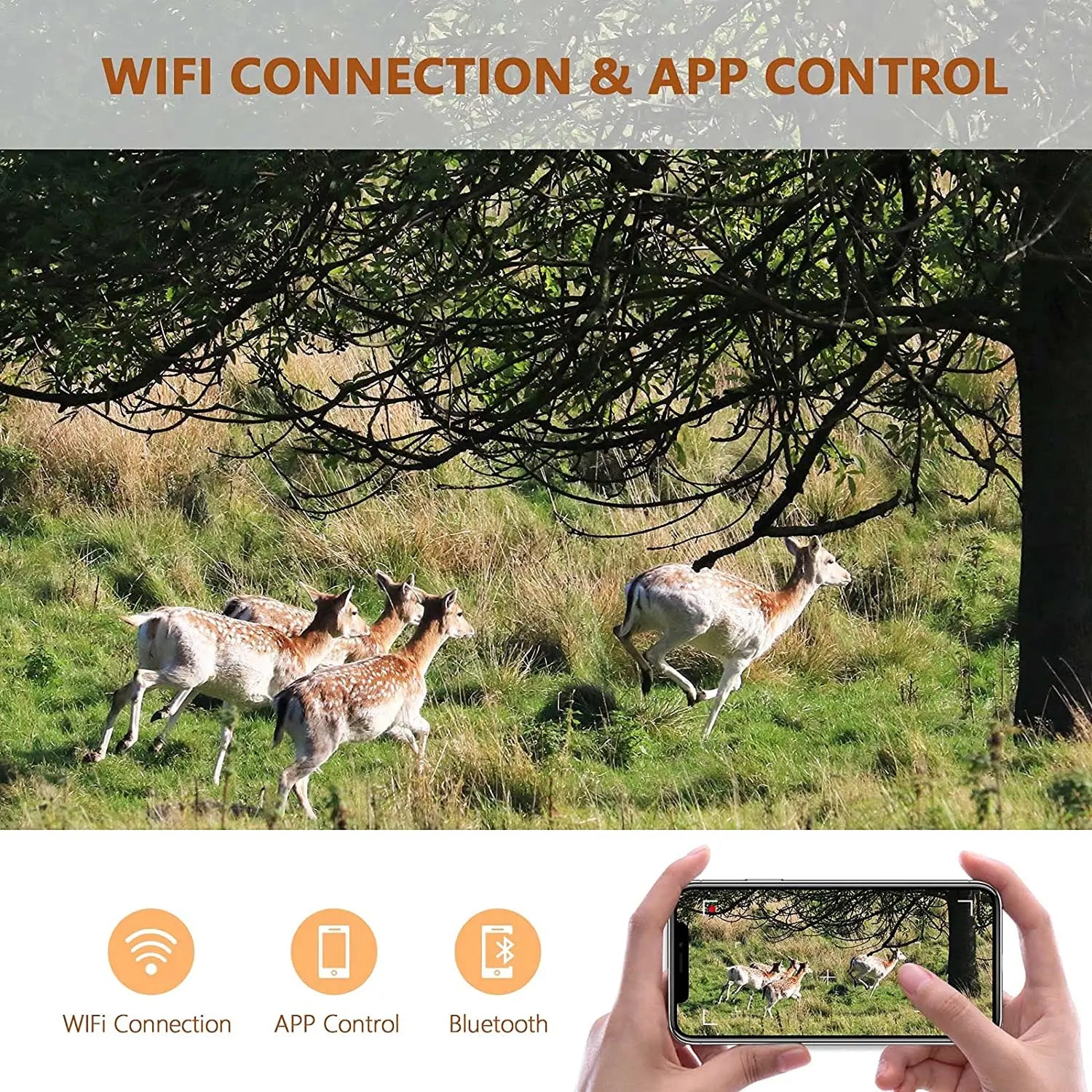 WildVizen